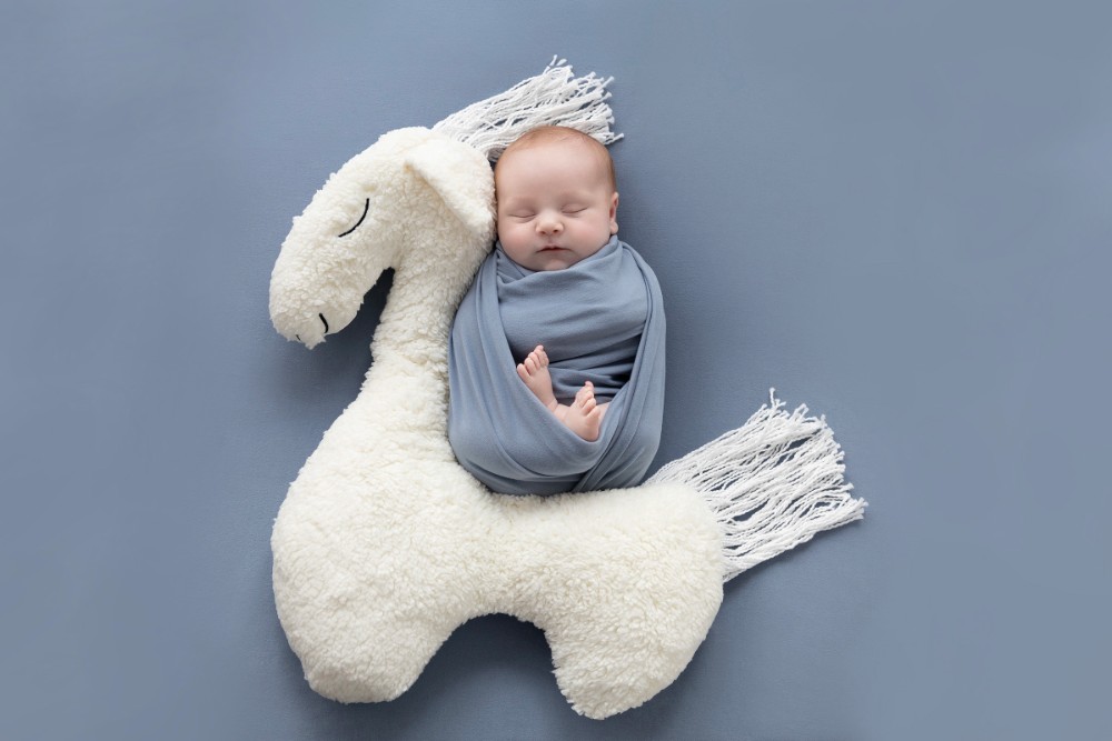Newborn boy in blue wrap hugging plush horse, whimsical Essex baby portrait session