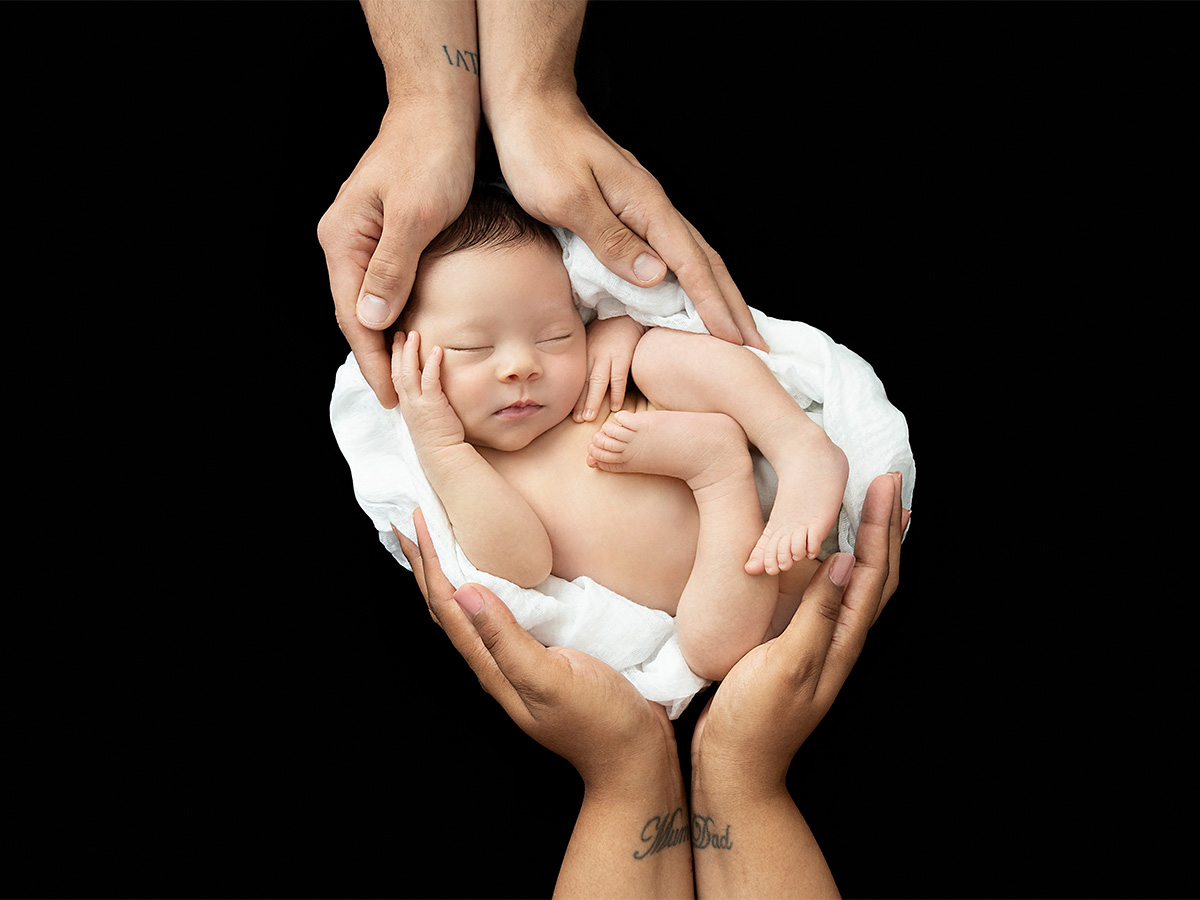 Tiny newborn baby curled safely in parents hands against dark background during artistic newborn photography session in Great Dunmow Essex.