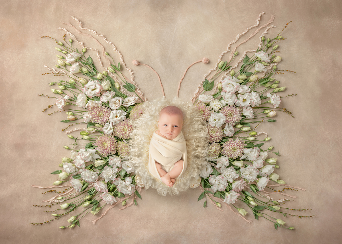 Fine art newborn photography of a baby posed within a floral butterfly arrangement, artistic newborn portrait photographed in Braintree Essex.